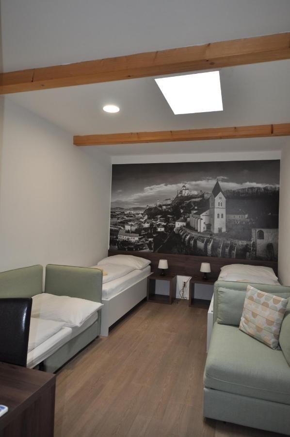Penzion Arenaostrov Trenčín Extérieur photo